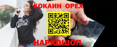 шишки Гай