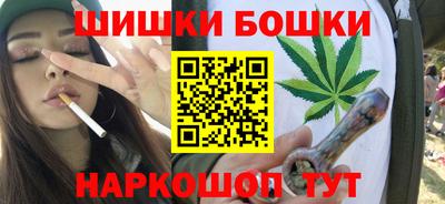 шишки Гай