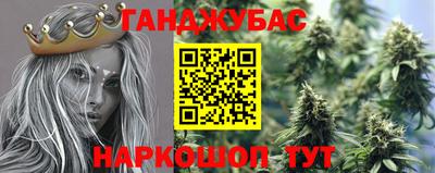 шишки Гай
