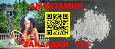 шишки Гай